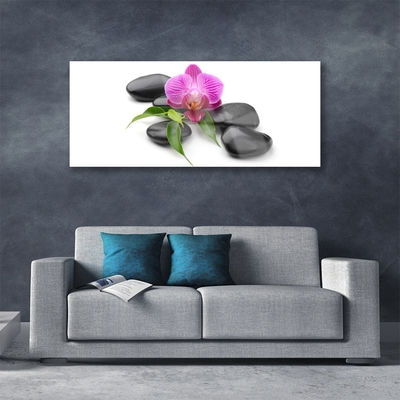 Acrylic Print Flower stones art pink black