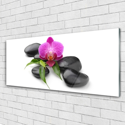 Acrylic Print Flower stones art pink black