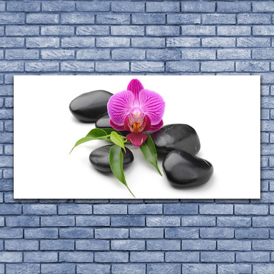 Acrylic Print Flower stones art pink black