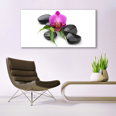 Acrylic Print Flower stones art pink black