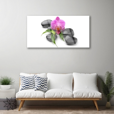 Acrylic Print Flower stones art pink black