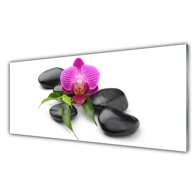 Acrylic Print Flower stones art pink black