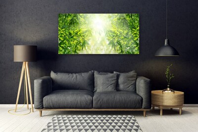 Acrylic Print Leaves nature green