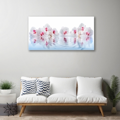 Acrylic Print Flowers art white red