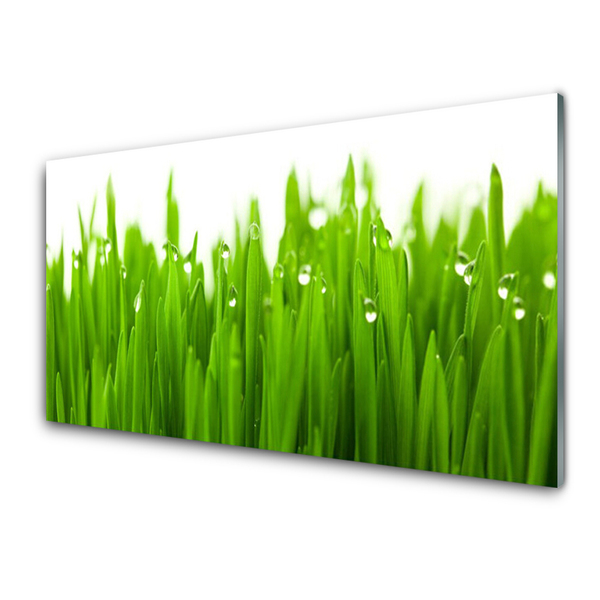 Acrylic Print Grass nature green