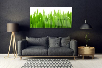 Acrylic Print Grass nature green