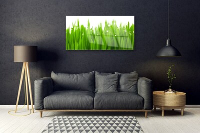 Acrylic Print Grass nature green