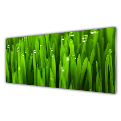 Acrylic Print Grass nature green