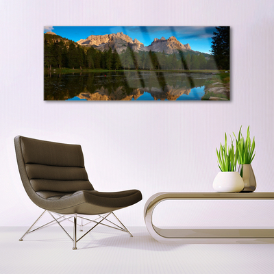 Acrylic Print Forest lake landscape green blue