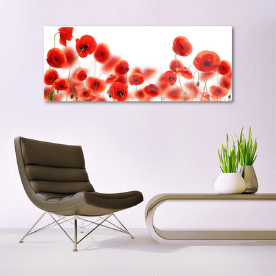 Acrylic Print Poppies floral red green