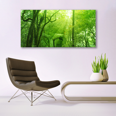 Acrylic Print Trees nature brown green