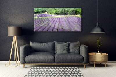 Acrylic Print Meadow flowers nature purple green