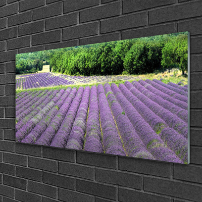 Acrylic Print Meadow flowers nature purple green