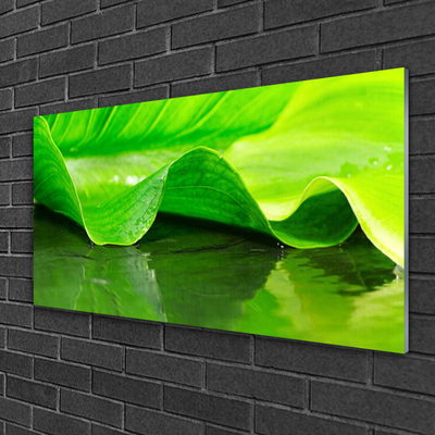 Plexiglas® Wall Art Leaf floral green