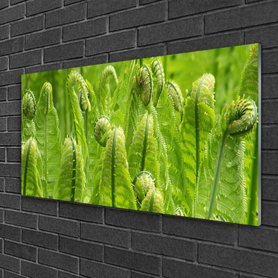 Plexiglas® Wall Art Plants floral green