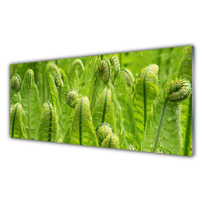 Plexiglas® Wall Art Plants floral green