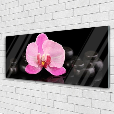 Plexiglas® Wall Art Flower stones floral pink black