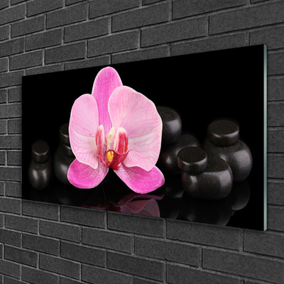 Plexiglas® Wall Art Flower stones floral pink black