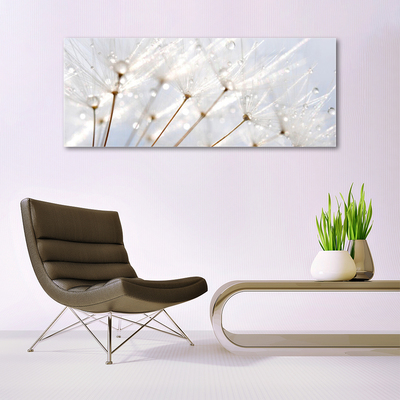 Plexiglas® Wall Art Dandelion floral white