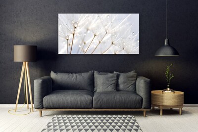 Plexiglas® Wall Art Dandelion floral white