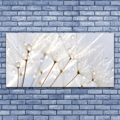 Plexiglas® Wall Art Dandelion floral white