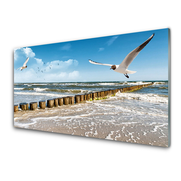 Plexiglas® Wall Art Seagulls sea landscape grey blue white