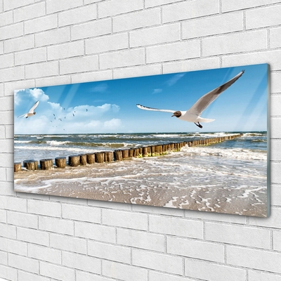 Plexiglas® Wall Art Seagulls sea landscape grey blue white