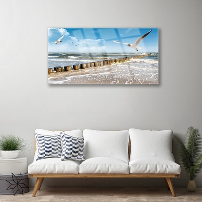 Plexiglas® Wall Art Seagulls sea landscape grey blue white