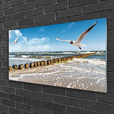 Plexiglas® Wall Art Seagulls sea landscape grey blue white