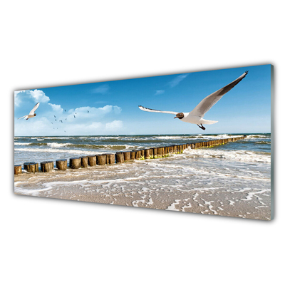 Plexiglas® Wall Art Seagulls sea landscape grey blue white