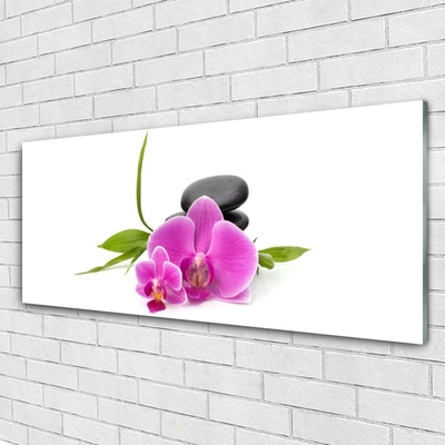 Plexiglas® Wall Art Flower stones floral pink black