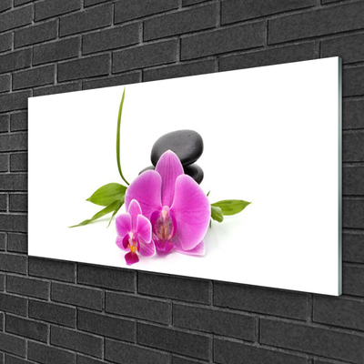 Plexiglas® Wall Art Flower stones floral pink black