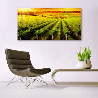 Plexiglas® Wall Art Field nature green brown