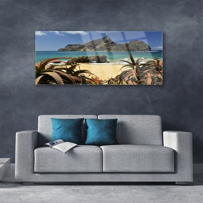 Plexiglas® Wall Art Beach sea rocks landscape brown blue grey