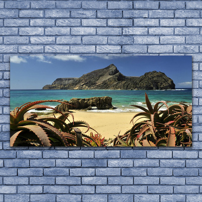 Plexiglas® Wall Art Beach sea rocks landscape brown blue grey