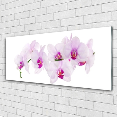 Plexiglas® Wall Art Flowers floral pink