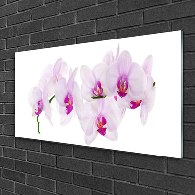 Plexiglas® Wall Art Flowers floral pink