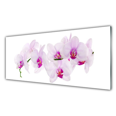 Plexiglas® Wall Art Flowers floral pink