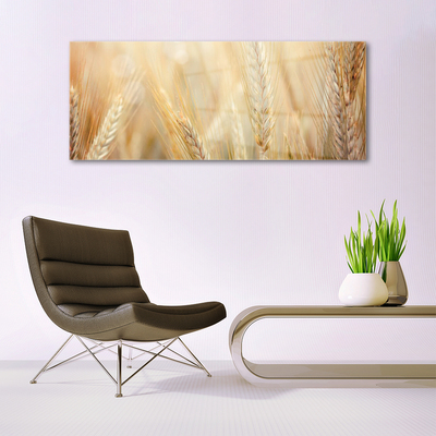 Plexiglas® Wall Art Wheat floral brown