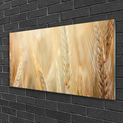 Plexiglas® Wall Art Wheat floral brown