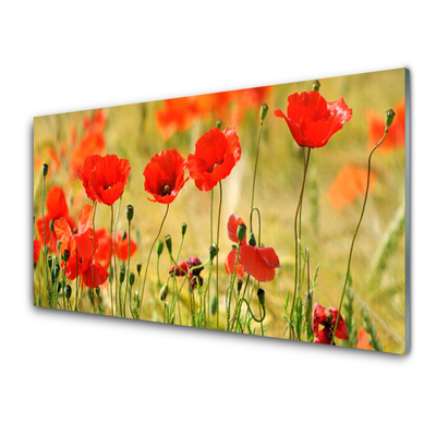 Plexiglas® Wall Art Poppies nature red green