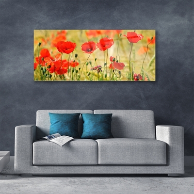 Plexiglas® Wall Art Poppies nature red green