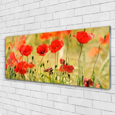 Plexiglas® Wall Art Poppies nature red green