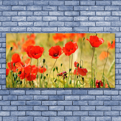 Plexiglas® Wall Art Poppies nature red green