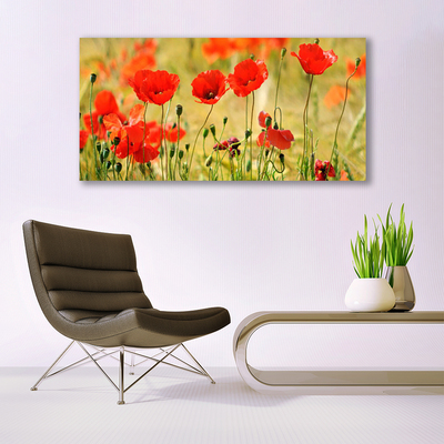 Plexiglas® Wall Art Poppies nature red green