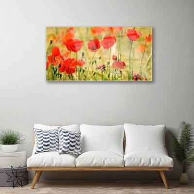 Plexiglas® Wall Art Poppies nature red green