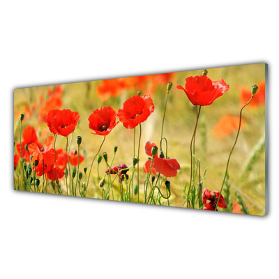 Plexiglas® Wall Art Poppies nature red green