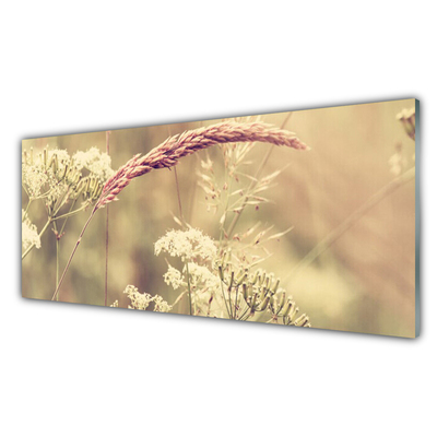 Plexiglas® Wall Art Wild plants floral white brown