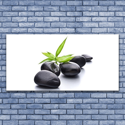 Plexiglas® Wall Art Stones art black