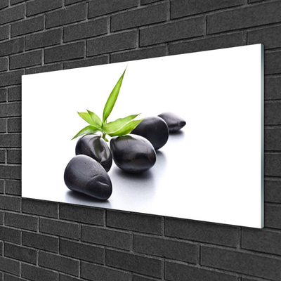 Plexiglas® Wall Art Stones art black